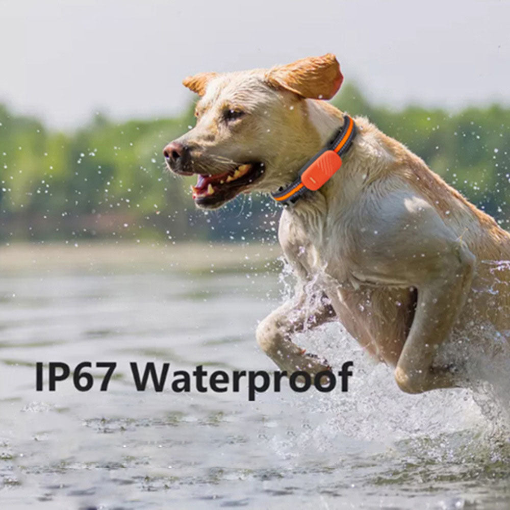 GPS Pet Tracker with Voice Function & Adjustable Collar for Anti-Loss